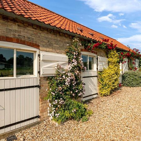 Little Walk Cottage Grimsby Exteriör bild